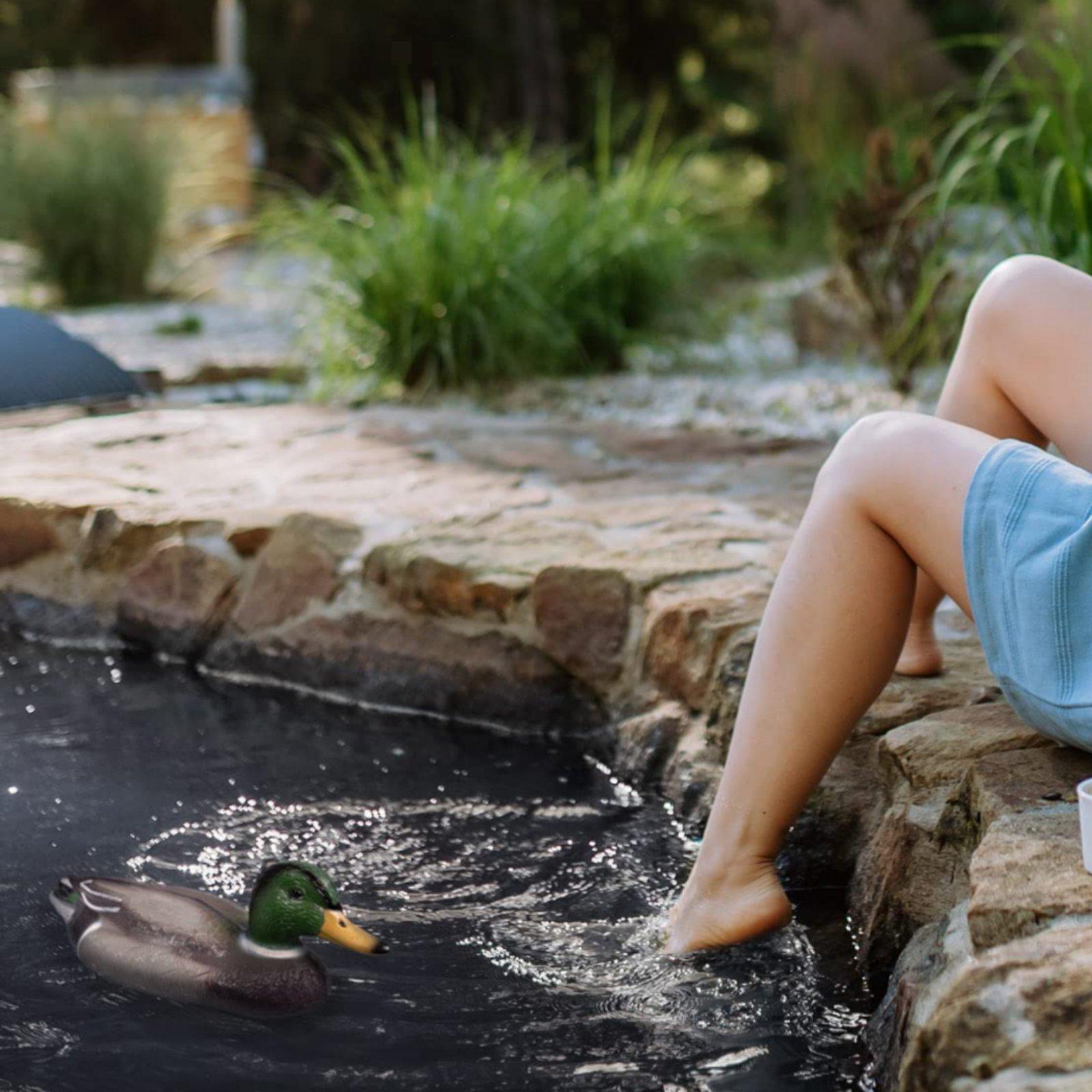 Floating Duck Decoy Realistic  - Hunting & Outdoor Supplies Carterton Reviews recension och pris