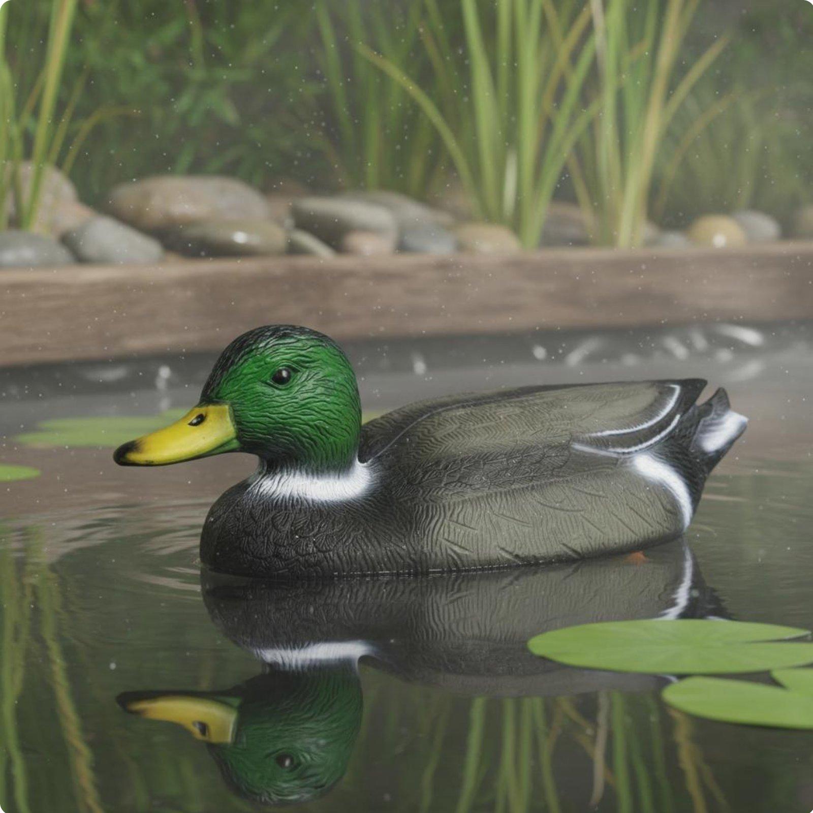 Floating Duck Decoy Realistic  - Hunting & Outdoor Supplies Carterton Reviews recension och pris